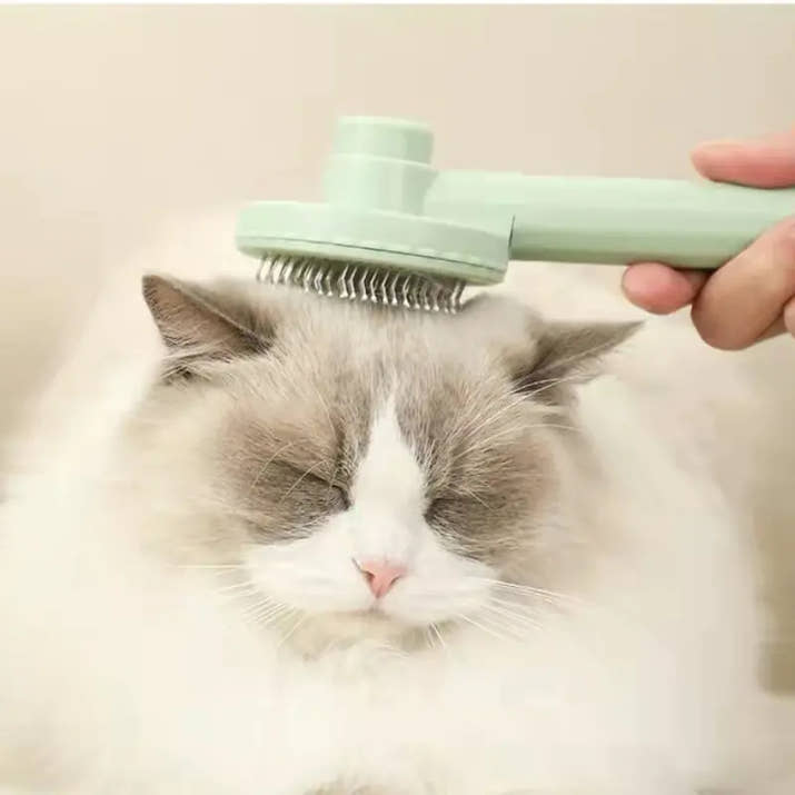 PawBrushPro